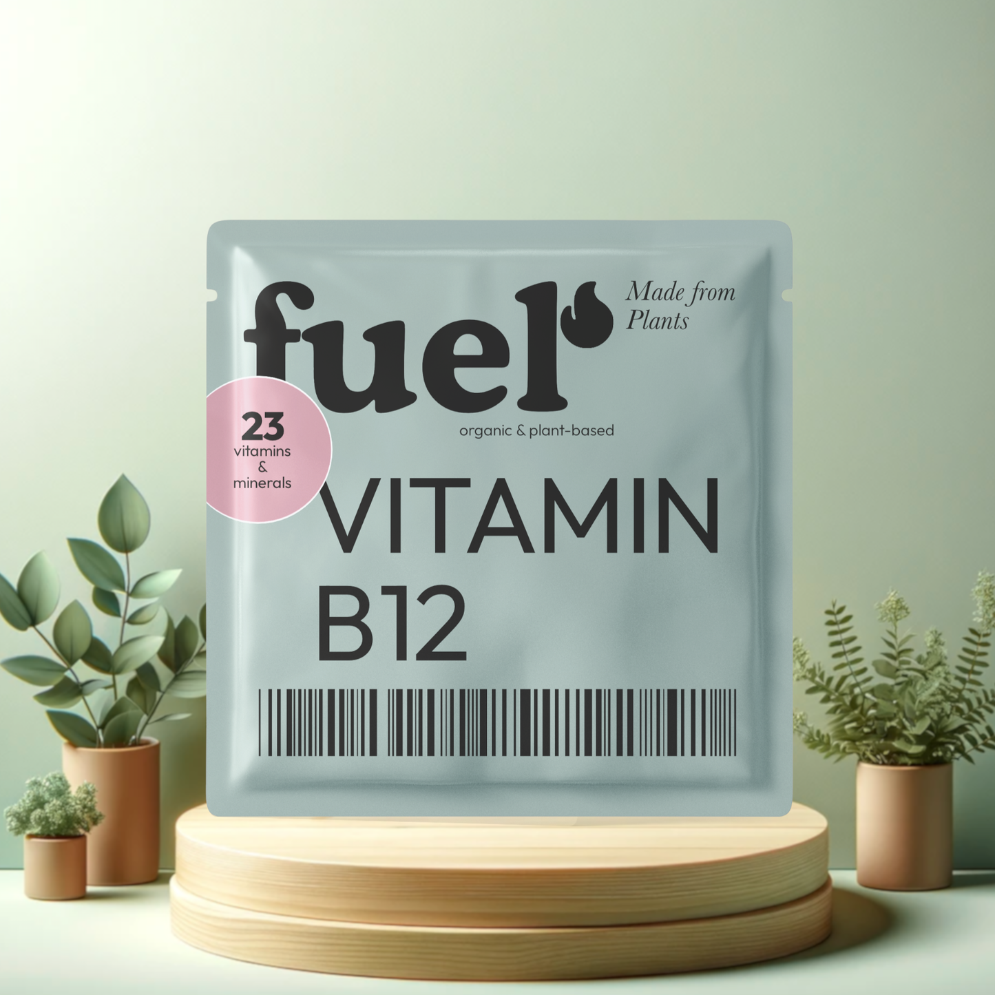 B12